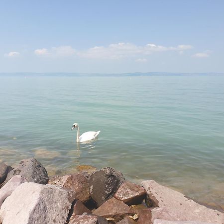 Balaton Lakeside Residence Siofok Dış mekan fotoğraf