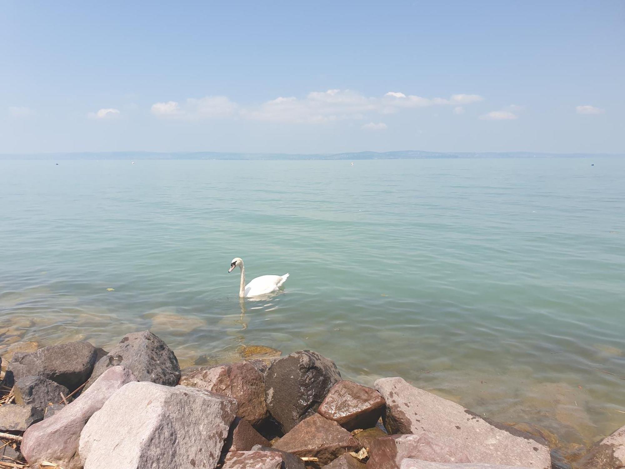 Balaton Lakeside Residence Siofok Dış mekan fotoğraf